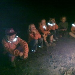 52010624 - Scouts en Gidsen Zaventem 